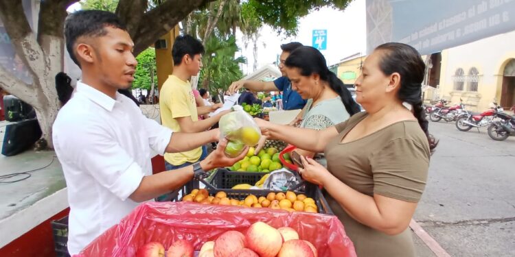 Atención estas son las fechas de las Ferias del Agricultor durante septiembre