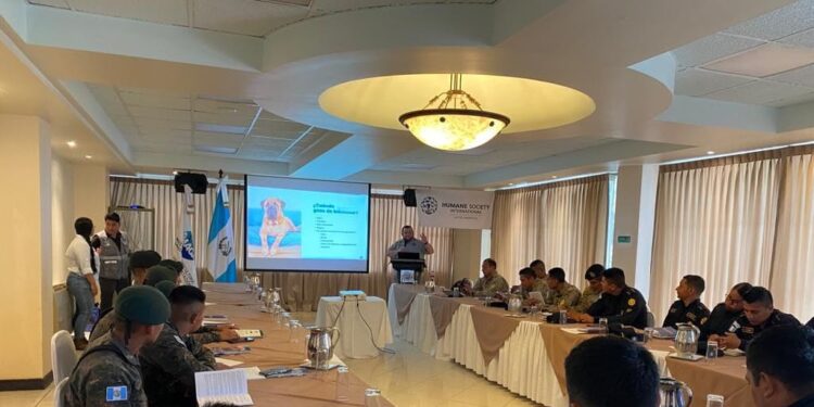 Autoridades competentes relacionadas al bienestar animal optimizan sus capacidades