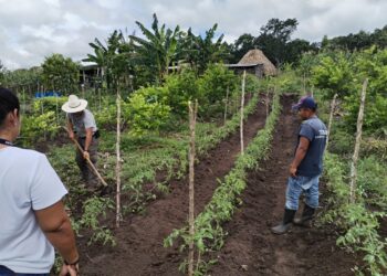 Brindan asistencia técnica para establecer un sistema MIAF