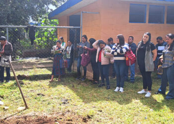 Capacitan a docentes para implementar huertos escolares