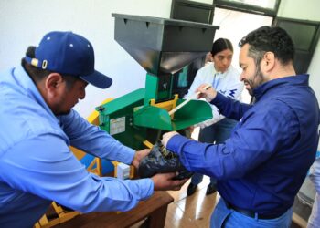 Energía solar y tecnología sostenible apoyan producción de té