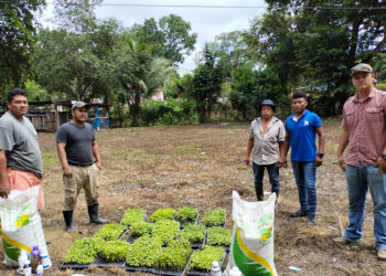 Entrega parcela demostrativa en Flores