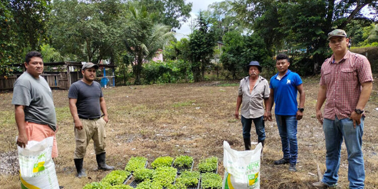 Entrega parcela demostrativa en Flores