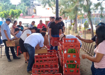 Entregan pilones de hortalizas a 234 centros educativos de San Marcos