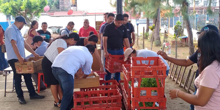 Entregan pilones de hortalizas a 234 centros educativos de San Marcos