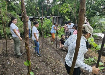 Entregan pilones de hortalizas en San Benito, Petén