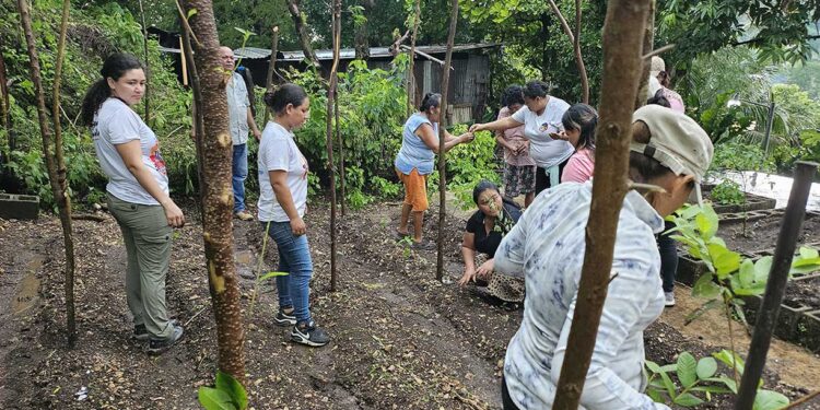Entregan pilones de hortalizas en San Benito, Petén