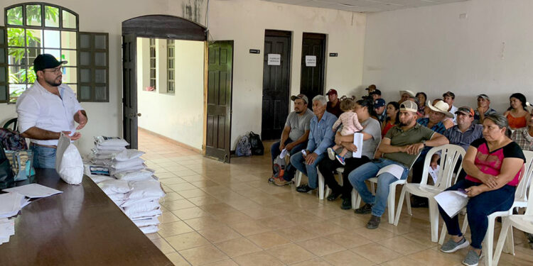 Entregan semillas de maíz en Ipala