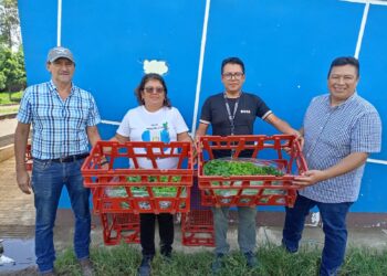 Estudiantes de El Progreso aprenden a cultivar sus alimentos