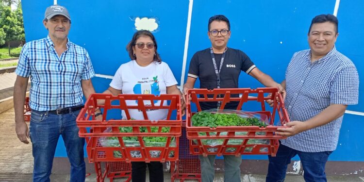 Estudiantes de El Progreso aprenden a cultivar sus alimentos