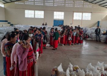 Quiché: Familias con inseguridad alimentaria recibirán alimentos esta semana