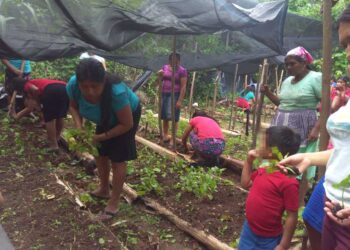 Familias de Chiquimula se benefician con pilones para sus huertos