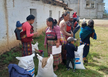 Fertilizantes llegan a los agricultores de Totonicapán