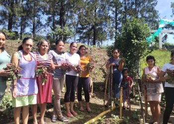 Fortalecen seguridad alimentaria con huerto comunitario