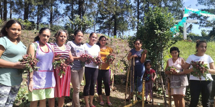 Fortalecen seguridad alimentaria con huerto comunitario