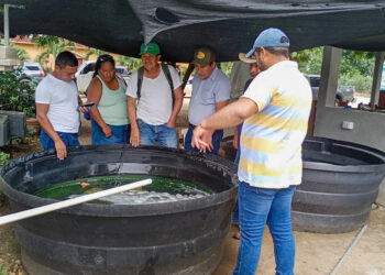 Fortaleciendo la acuicultura en Petén