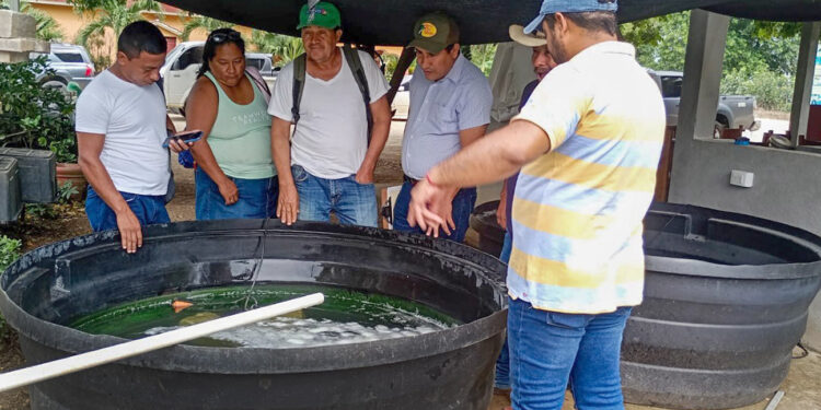 Fortaleciendo la acuicultura en Petén