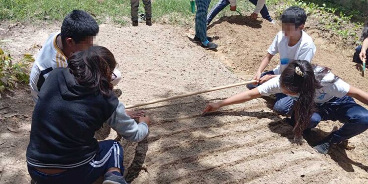 Huerto Escolar de Las Tejas, un espacio para aprender y crecer