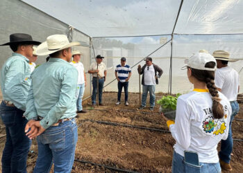 Implementan Huerto Escolar en Zacapa