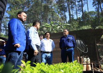 Integran Mesa Técnica para recuperar la cadena productiva de cardamomo
