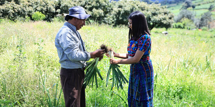 Jóvenes practican el extensionismo rural