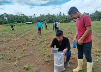 Jóvenes reciben apoyo técnico para siembra