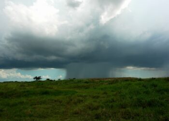 Lluvias se intensificarán la próxima semana: aplique prácticas de manejo del agua
