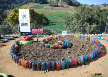 Los Huertos Escolares se han implementado en más de tres mil establecimientos