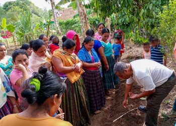 Más de cuatro mil productores y productoras capacitados en huertos familiares