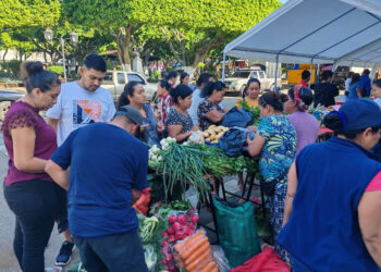 Feria del Agricultor llena de color a San Francisco Zapotitlán