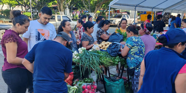 Feria del Agricultor llena de color a San Francisco Zapotitlán