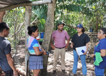 Peteneros reciben asistencia técnica de aves de postura