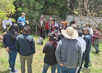 Productores fortalecen sus capacidades para el control integrado de la mosca de la fruta
