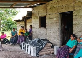 Se brinda asistencia técnica a las mini granjas porcinas