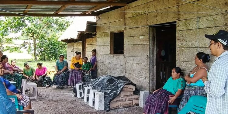 Se brinda asistencia técnica a las mini granjas porcinas