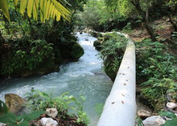 Se crea el Gabinete Específico del Agua