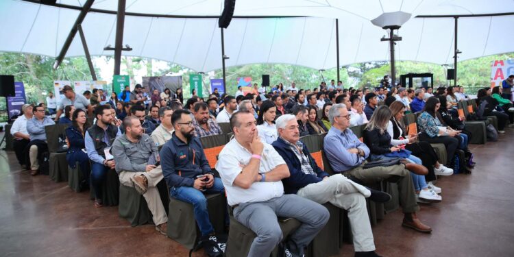 Sector de plantas, flores y follajes muestra crecimiento