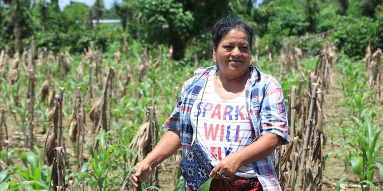 Seguro Agropecuario respalda a 70 mil pequeños productores