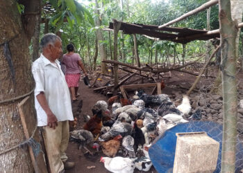 Verifican proyectos comunitarios elegibles para Alimentos por Acciones