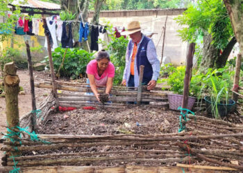 Verifican proyectos comunitarios elegibles para el programa APA