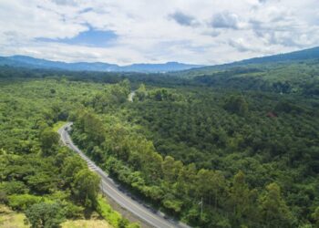 Ampliación presupuestaria asigna Q1,676.55 millones adicionales a las municipalidades