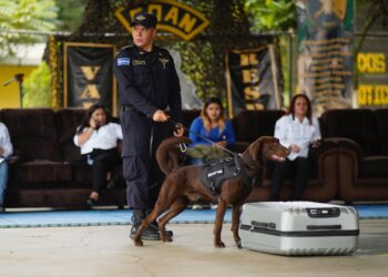 Finaliza primer curso internacional de guías k-9 para detección de fentanilo