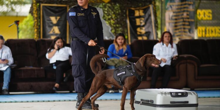 Finaliza primer curso internacional de guías k-9 para detección de fentanilo