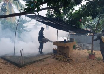 Ejército de Guatemala apoya acciones que tienen como objetivo evitar la propagación del dengue.