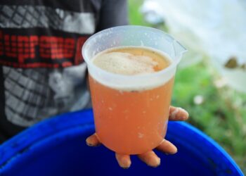 Abono Orgánico líquido