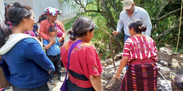 Abono orgánico permite mejores cosechas y beneficia la salud del suelo