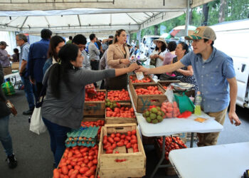 Adquiera sus productos para elaboración del fiambre en la Feria del Agricultor
