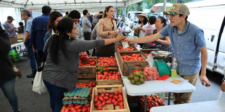 Adquiera sus productos para elaboración del fiambre en la Feria del Agricultor