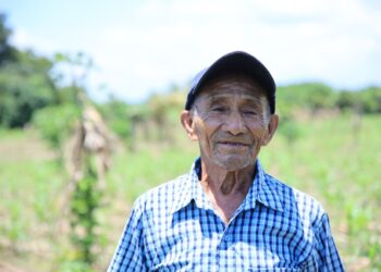Así es la cobertura del Seguro Agropecuario