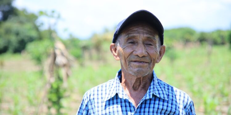 Así es la cobertura del Seguro Agropecuario